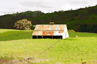 Green Grass and Old Barn digital painting