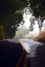 Road with Fog & Shadows digital painting