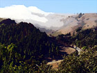 Fog Rolling over Road in San Francisco digital painting