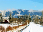 Winter Snow Landscape digital painting