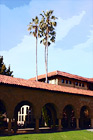 Scenic Stanford University Scene digital painting