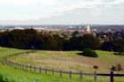 Stanford University Hill Scene digital painting