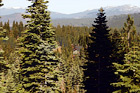 Tahoe Ski Resort View digital painting