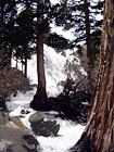 Lower Eagle Falls at Lake Tahoe digital painting