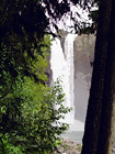 Snoqualmie Falls Behind Trees digital painting