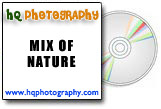 mix of nature stock photo cd