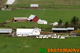 Aerial View of Farm