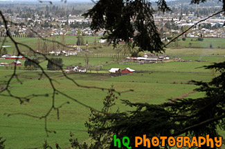View of Farms & Enumclaw