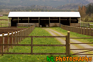 Farm Shed & Gate