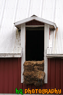 Hay & Barn