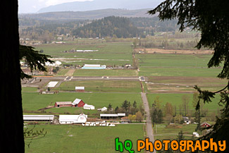 View of Country Land