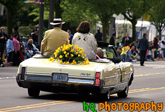 Daffodil Parade Car & Daffodils