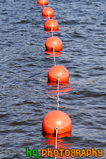 Orange Buoys