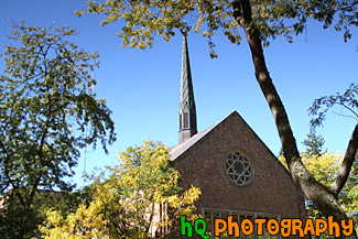 Eastvold Chapel & Trees