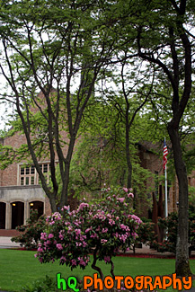 Flowers, Flag & Eastvold Chapel