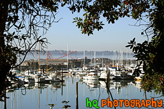 Sailboats of Tacoma Commencement Bay