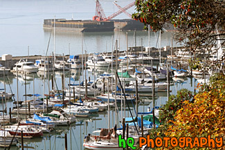 Sailboats in Puget Sound