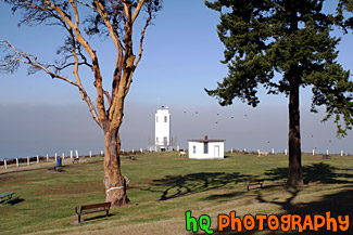 Brown's Point Lighthouse, Fog, and Trees