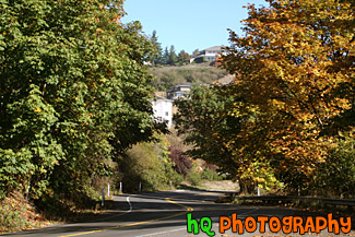 Curvy Road & Trees Changing Color