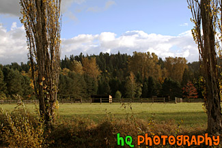 Farmland in Countryside of Orting, Washington