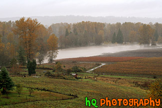 Puyallup River Flooding Farmland