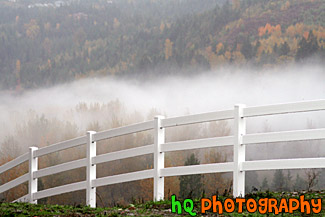 White Fence &  Fog