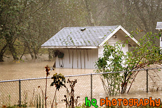 Shed Flooded by River