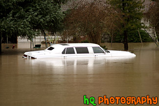 Close Up of White Car in Flood