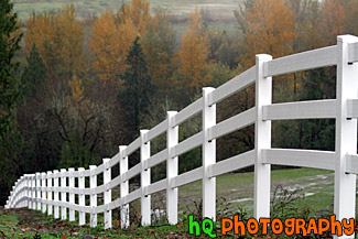 White Fence & Trees