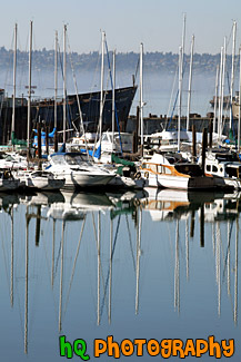 Sailboats & Reflections