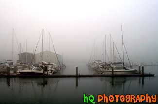 Sailboats in Fog