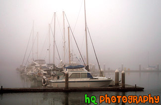 Row of Sailboats in Fog