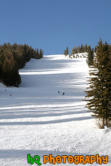 Ski Slope at Big Mountain