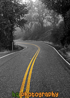 Yellow Stripe on Black & White Road