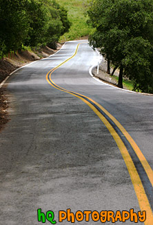 Road Between Green Trees