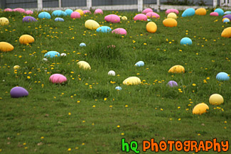 Large Easter Eggs on Grass