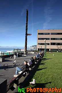 People Enjoying Seattle