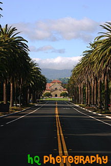 Stanford University Palm Drive Entrance