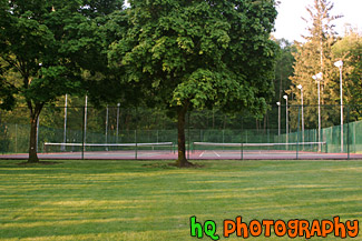 Grass, Trees, and Tennis Court