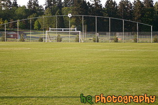 Soccer Field and Goal