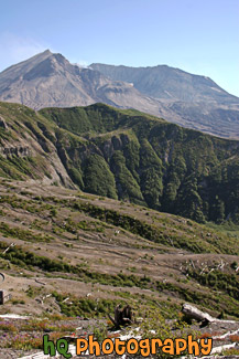 Mt. St. Helens Vertical