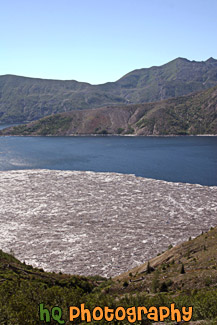 Spirit Lake & Logs