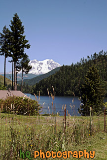 Mt. Rainier in Distance