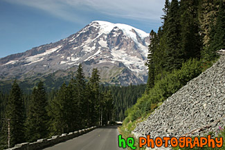 Road Leading to Mt. Rainier