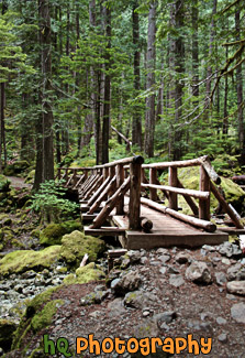 Hike & Wooden Bridge