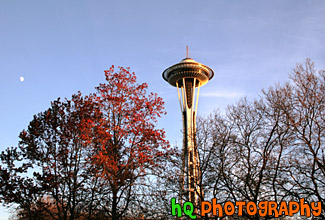 Space Needle at Dusk