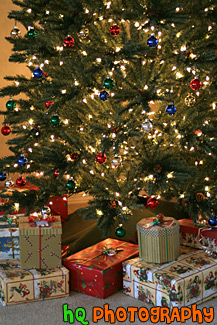 Presents Under Christmas Tree