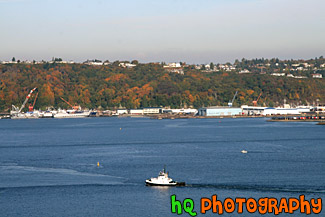 Commencement Bay in Fall