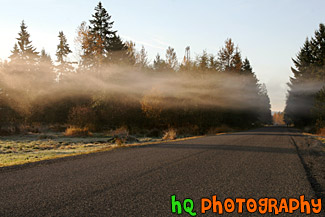 Fog Over Roadway