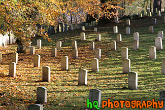 Autumn Cemetary Scene